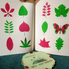 Can you spot the difference? This book is filled with clever and colorful illustrations that make you look closer and think differently. A great way to sharpen observational skills.