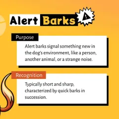 This visual defines an alert bark, which is typically short and sharp. It's your dog's natural way of signaling that they have noticed something new or unusual.
