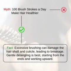 Myth: 100 brush strokes a day make hair healthier. Fact: Excessive brushing can actually damage the hair shaft and cuticle, leading to breakage. Gentle detangling is best, starting from the ends and working your way up to the roots to prevent stress on the hair.