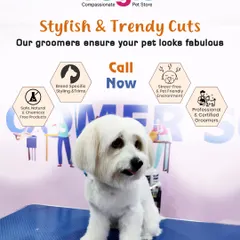 We provide stylish and trendy cuts tailored to your pet's breed and your preference. Our professional and certified groomers work in a stress-free environment using safe, natural products to ensure your pet looks fabulous.