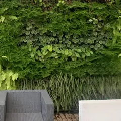 A vertical garden is a fantastic way to make a big impact, especially when you're short on floor space. This lush tropical living wall brings a burst of green life, turning a plain wall into a stunning, natural art piece that feels alive.