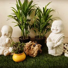 We love creating corners that spark joy. This setup features two laughing monk statues on a patch of artificial grass, surrounded by lush green plants and white pebbles for a cheerful and peaceful vibe.