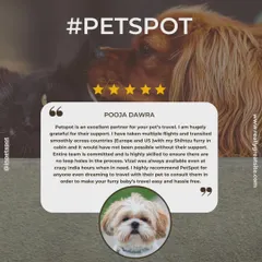 Pooja has trusted me with multiple flights for her Shih Tzu across Europe and the US. I'm so grateful for her continued support and for recognizing my team's commitment and skill.