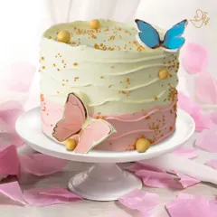 A beautiful butterfly-themed cake for Pranita in Geetanjali. The soft pink and white ombre frosting is adorned with delicate edible butterflies and a sprinkle of gold dust for a touch of magic.