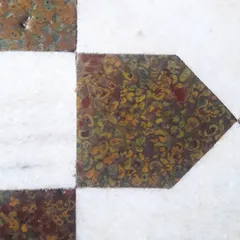 A close-up of a flooring detail featuring natural fossil stone from Agra. The intricate, organic patterns within the stone create a unique geometric inlay when set against white marble.