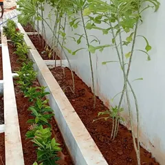 This long, built-in planter box is a perfect solution for narrow spaces along a wall. It allows for a continuous line of planting, creating a green border that makes the area feel more lush and private.