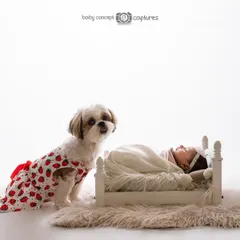 A beautifully composed shot of a newborn sleeping peacefully while their furry sibling stands guard. This high-key image is clean and bright, emphasizing the innocence of both the baby and the dog.