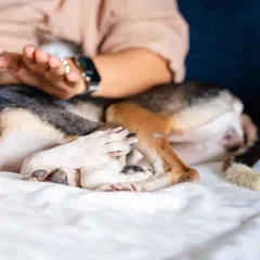 This is Choco, a survivor with the kindest soul. Despite a traumatic past, all she wants is love. This photo of her shyly covering her face captures her vulnerability and the trust she is learning to give. It's an honor to tell her story.