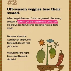 There is a reason why aam ka achar tasted so special back in the day. It was made in the right season. We follow the same belief, using only seasonal vegetables because real swaad comes from the rhythm of nature.