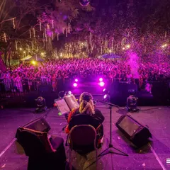 A view from the stage as the legendary Usha Uthup performs to a massive audience at our New Year's Eve event. I have experience sharing stages and coordinating with other top-tier performers for a seamless show.