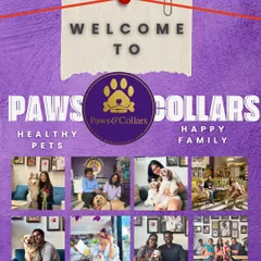 Welcome to Paws & Collars, where we believe in "Healthy Pets, Happy Family". This collage captures the joy and connection that defines our community.