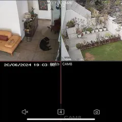 This split-screen view shows both the living room and the garden of a home. We can customize the display so you can keep an eye on your family, pets, and property simultaneously.