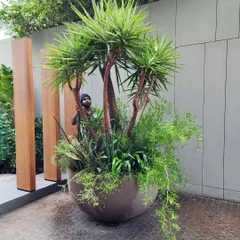 We call this "Contained Maximalism." This giant 4-foot diameter pot is a perfect example of how to make a huge impact in a limited space. It’s a curated, overflowing bouquet of exclusive plants that brings a luxurious, wild feel to any corner.