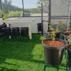 This image shows a spacious terrace garden setup with artificial turf. The large pots are placed on sturdy stands, and a work table is included for potting and other gardening tasks, creating a practical and beautiful space.
