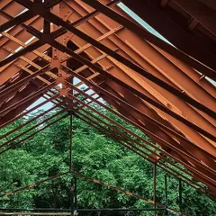 A view from below at the Toit brewery project. The bold, orange steel trusses are left exposed, creating a powerful structural pattern against the sky and surrounding trees, celebrating the building's industrial skeleton.