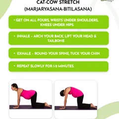 The Cat-Cow stretch is a wonderful pose during pregnancy. This graphic provides simple, step-by-step instructions on how to perform it safely to maintain spinal flexibility.