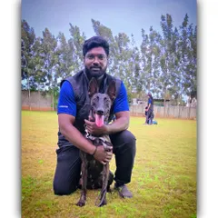 Here I am with a wonderful Belgian Malinois during an advanced obedience session in our spacious training ground. We have the expertise to handle high-energy and intelligent breeds, focusing on structure, discipline, and a strong handler bond.