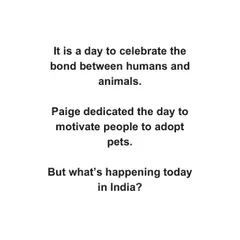 We often get requests for breed dogs, but adopting an indie is free and helps both the shelter and the dog. This post reflects on the challenges and realities of animal welfare in India.