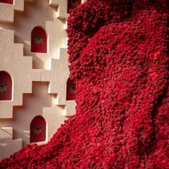 A detail of the magnificent red Baoli installation, showcasing the incredible texture created by thousands of individual Sola flowers. The piece is a testament to our commitment to large-scale, handcrafted artistry.