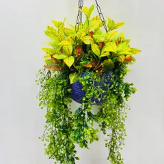 A vibrant hanging basket featuring bright yellow and red croton leaves mixed with cascading green vines in a blue woven basket.