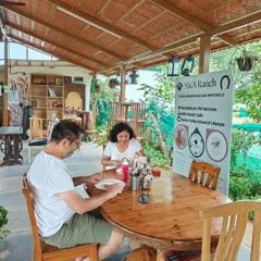 Two guests are seen enjoying their breakfast at our farm cafe. Weekdays are especially calm, making it the perfect spot for a quiet morning or a relaxed lunch.