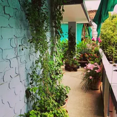 This is a little throwback to my green escape. I love turning a simple balcony into a lush jungle with climbers, potted flowers, and lots of greenery. It's my favorite spot to relax.