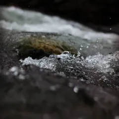 A close up shot of water flowing over rocks. The camera freezes the motion of the bubbles and splashes, reminding me that time, like water in a river, is always flowing away.