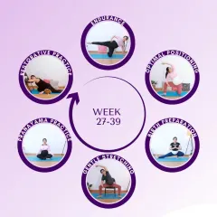 My On-Demand Prenatal Yoga Program is designed to fit your schedule. This visual guide shows the trimester-specific sessions you'll get, focusing on everything from building endurance and gentle stretching to optimal positioning for your baby.