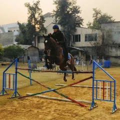 Rey and her horse Bunting flying over a fence during an evening training session. We focus on building confidence and a strong bond between the rider and horse.