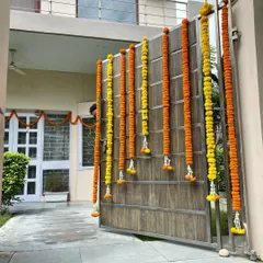 To welcome guests for a home wedding, I decorate the main entrance gate with long, traditional garlands of fresh marigolds. Here I used alternating strings of yellow and orange genda phool.