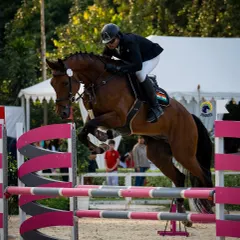Perfect form over the fence. Our training emphasizes precision and technique, enabling horse and rider combinations to compete with confidence and style at high-level show jumping events.