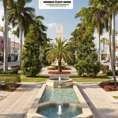 This grand public plaza features a long water fountain, symmetrical walkways, and rows of palm and evergreen trees. We design and execute large-scale beautification projects like this for smart cities and public institutions.