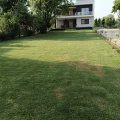 A beautiful, sprawling lawn I installed for a modern villa. My grass provides a perfect, even green cover that enhances the look of any home.