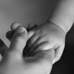 The simple, powerful image of a baby's hand holding an adult's finger. This classic shot beautifully represents trust, connection, and the beginning of a lifelong bond.