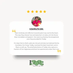Vishruth's heartwarming review reminds us why we do what we do. We believe pets are family, and we're honored you trusted us with Teddy the Corgi.