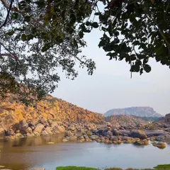 A peaceful moment by the Tungabhadra river. The framing by the leaves adds depth and a sense of being right there in the scene.