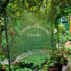 A lush photo of our permaculture garden, captioned "a breath of fresh air (Literally)," showcasing the green oasis we've created within the city.