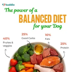 Here’s a visual breakdown of the perfect meal bowl. This infographic shows the ideal ratio of 25% protein, 40% fruits and veggies, 25% good carbs, and 10% fats. It’s a simple formula we use in our diet plans to ensure your dog gets all the essential nutrients for energy and strength.
