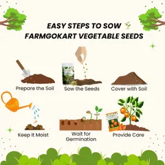 Sowing my vegetable seeds is as easy as this. This guide shows you how to prepare the soil, sow the seeds, cover them, and provide the right care for successful germination.