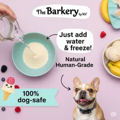 This graphic shows just how simple my dog ice cream mix is. All you have to do is add water to the human-grade powder and freeze it. It's a 100% dog-safe and natural way to give your pup a cool treat.