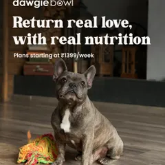 Our pets give us unconditional love, and I believe the best way to return that love is with real nutrition. This French Bulldog is a great reminder that our thoughtfully crafted meals help your pet thrive.