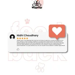 It's a true blessing to be trusted with someone's pets. This feedback from Nidhi highlights my approach to pet sitting, which is all about respecting each animal's personality, providing daily updates, and ensuring they feel safe and loved while their family is away.