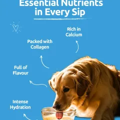 Every sip of our bone broth is packed with essential nutrients. It delivers intense hydration, is full of natural flavor, and is packed with collagen and calcium to support your pet's joints and mobility.