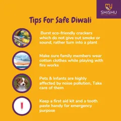 Simple and effective tips for a safe Diwali. This includes using eco-friendly crackers, taking care of pets and infants, and keeping a first-aid kit handy.
