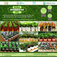 For World Environment Day 2023, we offered a wide range of innovative green gifting solutions. This collage shows the variety of plants we prepared for bulk orders, from colorful flowering plants to sturdy green foliage.