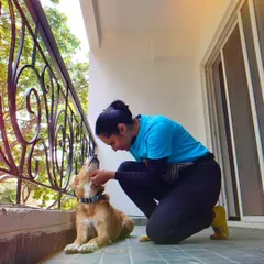 This is Luffy. When he first came to me, he was timid and unsure. Seeing him blossom into this confident, happy dog is why I do what I do. It's an incredible transformation to witness.