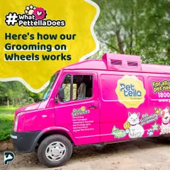 This is our salon on wheels! Our bright pink van is a fully equipped grooming station, complete with AC and professional gear, ready to pamper your pet right outside your home.