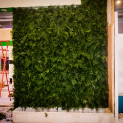 This is a preserved moss and fern wall I installed for another stall at the same Auto Expo. These require almost no maintenance and provide a rich, textured green look that is perfect for indoor environments where light might be low.