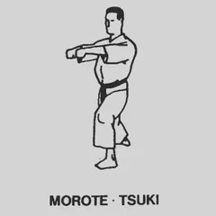 This is a 'Morote Tsuki', or a two-handed punch, a fundamental technique in our Saifa Kata. Our theory classes often include visual breakdowns like this to help students master the form and function of each move.