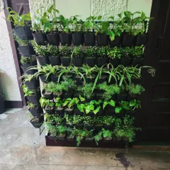 This vertical garden setup is perfect for an entryway, adding a wall of living art that welcomes you home.